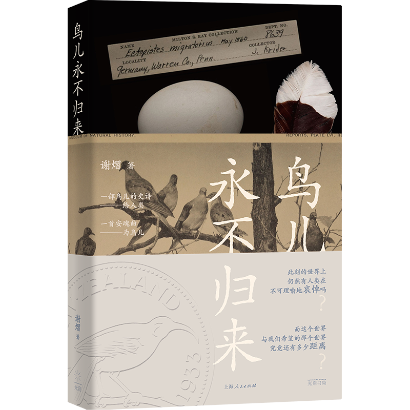《鸟儿永不归来》封面
